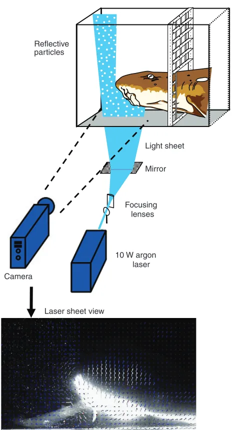 Fig. 1. Schematic of the experimental set-up. The experimental tank wasfilled with seeded sea water, a 10 W laser was used at 5W with an opticsand mirror system to create a vertical laser sheet, a laterally placed high-speed camera recorded video, and an e