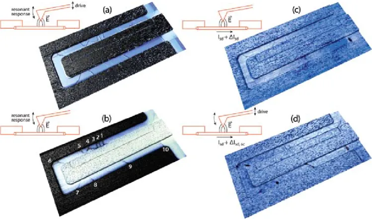 Figure 2:  ‘Hover pass’ microscopy data of a typical CNT FET.  (a) EFM (V sd  = 20mV, V bg  = 0V, V tip  = 5 V, height = 20nm)