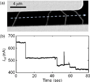 Figure 3:  Electrical cutting of unwanted CNTs.  (a) EFM   image of a device.  Cutting path indicated by dotted arrow   (V sd  = 25mV, V bg  = 0V, V tip  = 8V, height = 20nm)
