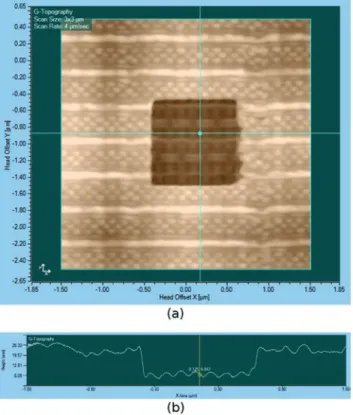 Fig. 4   Electrostatic force microscopy (a) with a single scanned  probe and (b) with a fixed probe added (Active EFM)