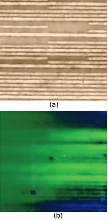 Fig. 6   (a) Active EFM image and (b) overlay of Active EFM  signal onto the topography image