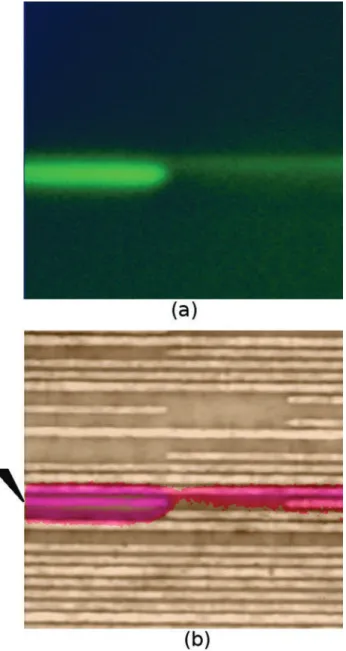 Fig. 7   (a) Active EFM image and (b) overlay of Active EFM  signal onto the topography image