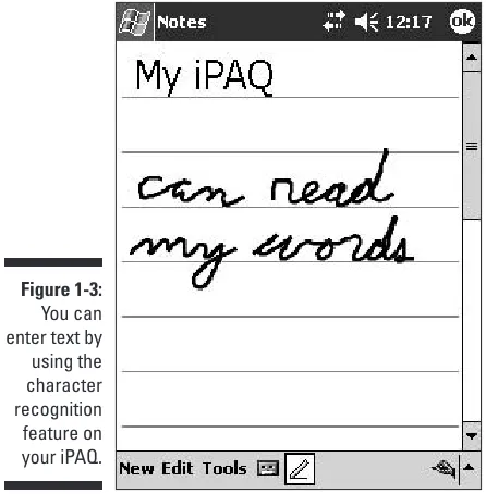 Figure 1-3:You can