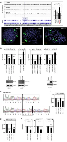 Figure 3: Gain at 7q11, IL7-STAT5 and MEF2C activate AUTS2 expression. (A) Genomic profiling of T-ALL cell lines JURKAT, LOUCY and PER-117 shows copy number states of chromosome 7, indicating whole chromosome triploidy in PER-117 (above, left)