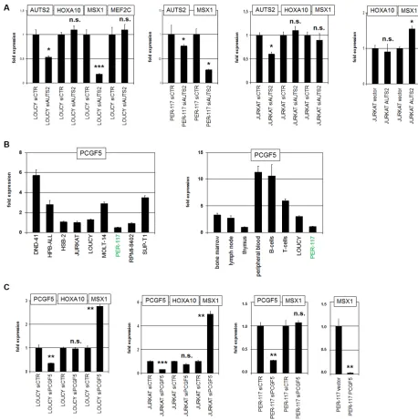 Figure 4: AUTS2 and PCGF5 regulate MSX1 expression. (A) SiRNA-mediated knockdown of AUTS2 in LOUCY resulted in reduced expression of MSX1 but not of HOXA10 or MEF2C (left)
