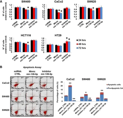 Figure 7: miR-139-5p inhibits cell proliferation and apoptosis in human colon cancer cells lines