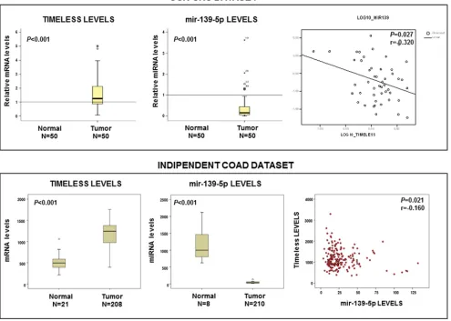 Figure 4: TIMELESS mRNA and miR-139-5p levels are inversely correlated in sporadic colorectal cancer