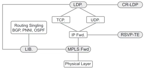 Figure 2-4: MPLS protocol stack architecture