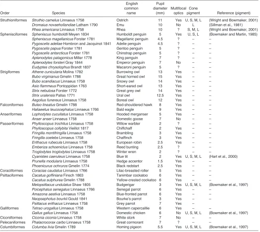 Table 1. Multifocality, cone pigment and pupil size