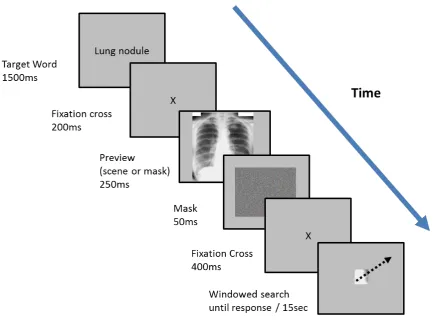 Figure 1. Trial sequence depending on whether participants were searching for everyday 