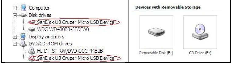 Figure 1: The two devices under device manager and as Removable Disk (F:) and CD Drive (E:)