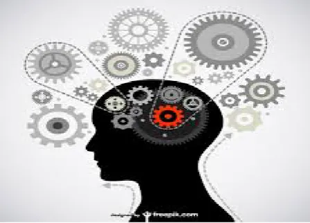 Figure One: Adolescent Brain Development 