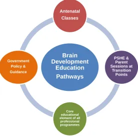 Figure Three: Brain Development Educational Pathways 