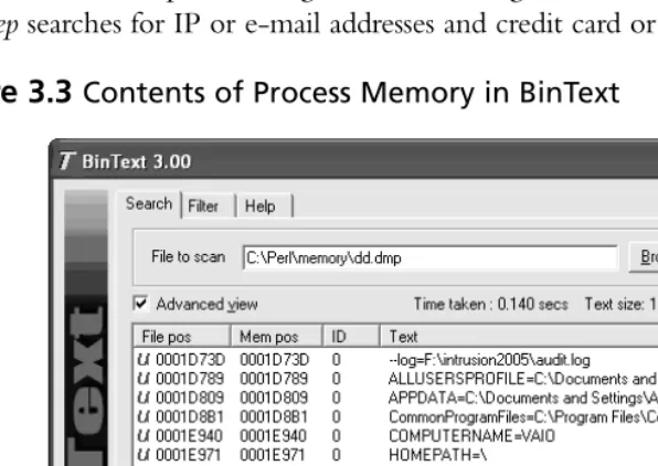 Figure 3.3 Contents of Process Memory in BinText