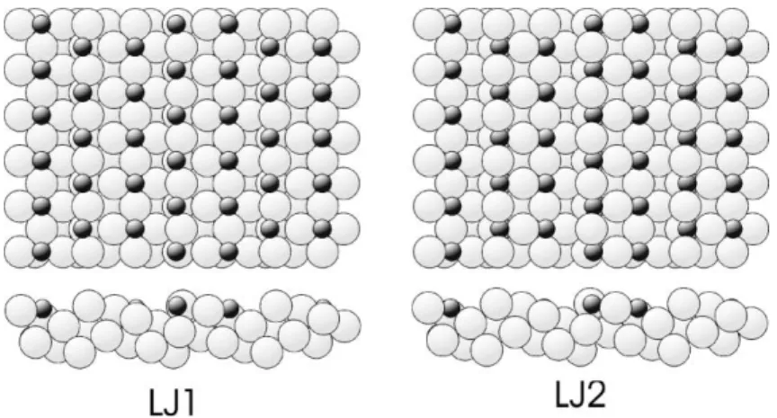 Fig. 7. Schematic plan (top) and side (bottom) views of (a) model LJ1 and (b) model LJ2.