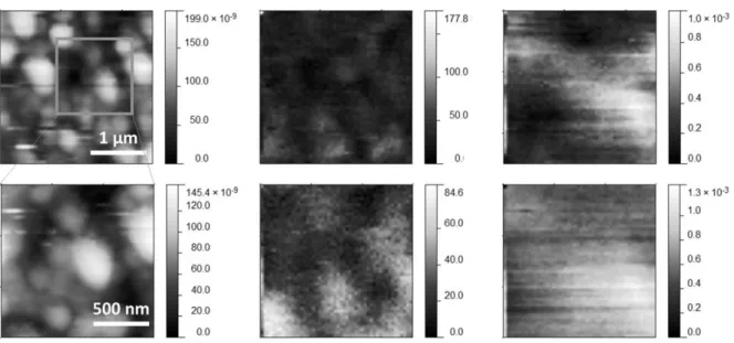 Figure 6. SNOM images of a dense particle configuration in topography, reflection and transmission of the near field with  different resolutions