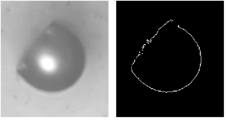 Figure 3: Results using the Canny edge detection algorithm from Matlab. 