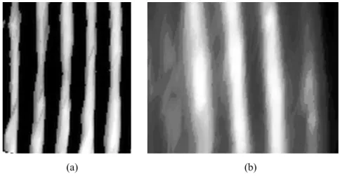 Figure 5: Magnification enhancement of the SIL.  Part (a) shows the reflection mode line scan of  the grating using a 0.9 NA microscope objective without the SIL and (b) with the SIL