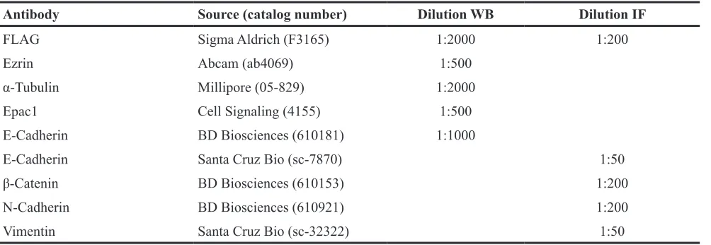 Table 2: Antibodies