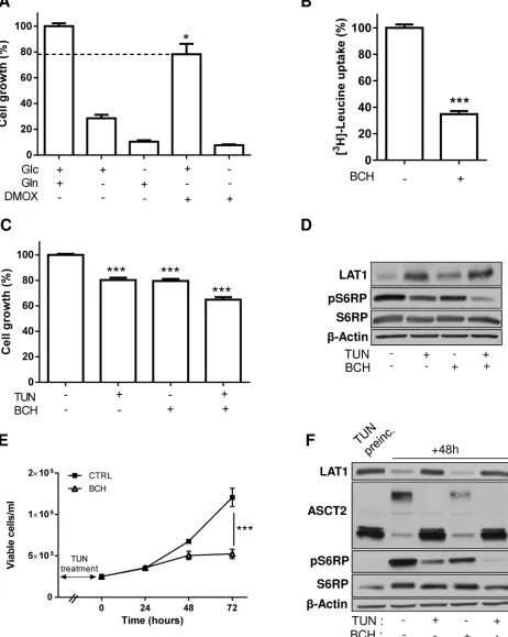 Figure 6: Inhibition of LAT1 increases the growth inhibitory effects resulting from alterations in the glycosylation process