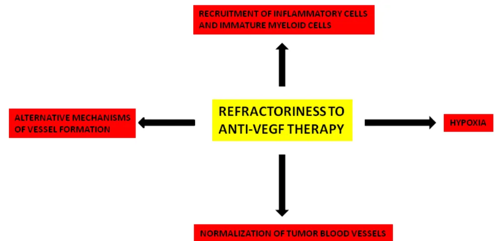 Figure 2: Principal mechanisms involved in refractoriness to anti-VEGF therapy.