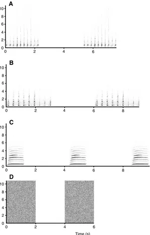 Fig. 2. Spectrograms of the different playback seriesbroadcast to males. (A) Barking calls of male Australian sealion; (B) barking calls of male subantarctic fur seal; (C) pup-attraction call of female Australian sea lion; (D) white noise.