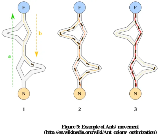 Figure 5: Example of Ants' movement 