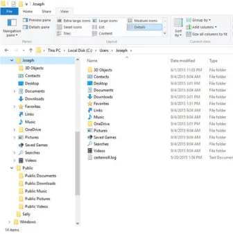 Figure 1-4. File Explorer view of a user’s storage folders, along with the Public folders