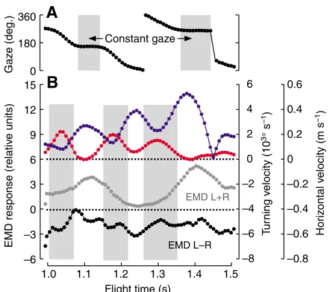 Fig. 9. Histograms of responses of a rotation-sensitive EMD system for flight sequences produced by flies flying in a stationary environment and duringoptomotor stimulation