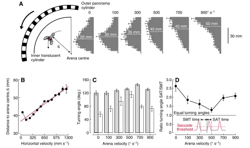 Fig. 4. Distance between the animal and the arena centre, and turning angles at various experimental conditions