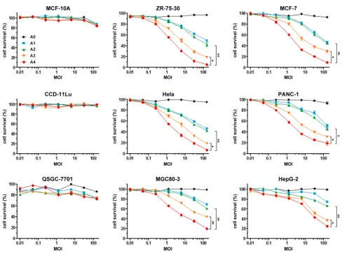 Figure 4: In vitro anti-tumor effects of recombinant Ad vectors. Normal cells and tumor cells were infected with rAd5-RFP, rAd5-zTRAIL-RFP, rAd5pz-zTRAIL-RFP, rAd5-zTRAIL-RFP-SΔ24E1a or rAd5pz-zTRAIL-RFP-SΔ24E1a at different MOI (0.01, 0.05, 0.25, 1.25, 6.