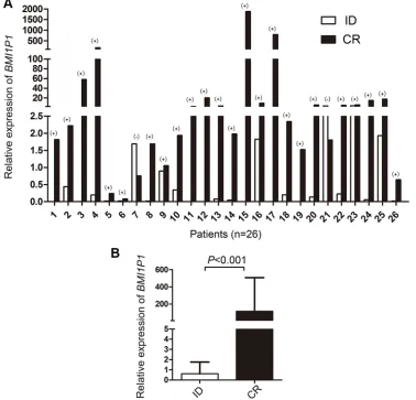 Figure 5: Changes of BMI1P1 expression in 26 AML patients. (A) The differential BMI1P1 levels in AML patients (n = 26) were measured by RQ-PCR from the initial diagnosis to complete remission