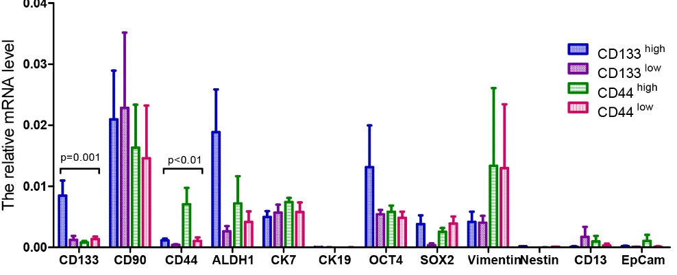 Figure 4: The mRNA expression level of 12 putative CSC-related markers in the tumor tissues from the HCC PDX models.