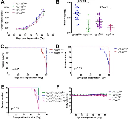 Figure 6: Tumor growth, tumor weight, Kaplan-Meier survival curves and the body weight changes of mice in PDX models