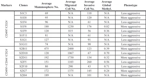 Table 1: CD49f+/CD24− and CD49f+/CD44f+/CD24− single cell derived clones and their phenotypes