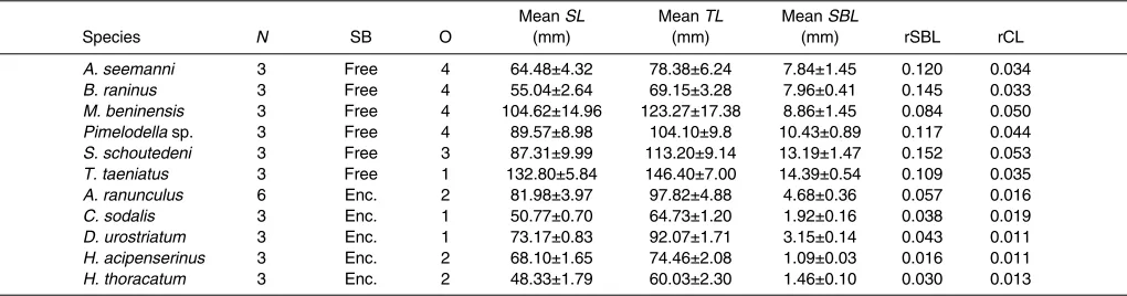 Table 2. Morphological measurements of specimens, swimbladders and ossicles