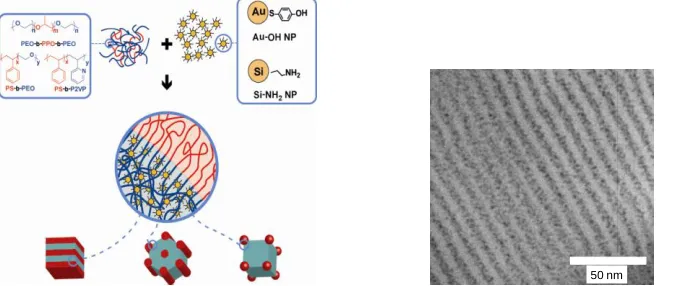 Figure 3: (Left) Scheme for additive-driven assembly of ordered hybrid materials, and (right) example of ordering of functionalized Au nanoparticles at high loadings