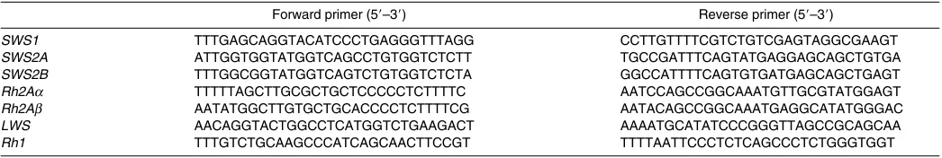Table 1. Primers used for PCR amplification of opsin gene sequences from black bream retinal cDNA 