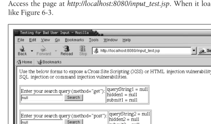 Figure 6-3. input_test.jsp running