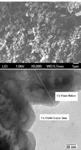FIG. 3. The scanning electron microscopy (SEM) (upper) image and the transmission electron microscopy (TEM) (lower)image of the surface of a nanoﬂaked Co particle