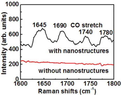 FIG. 4. The surface-enhanced Raman spectra (SERS) of carbon monoxide (CO) formed from CO2 by photodissociation oncobalt nanostructures.