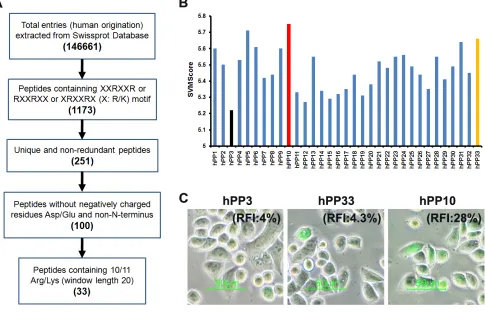 Figure 1: Identification of human-derived cell-penetrating peptides using in silico approach