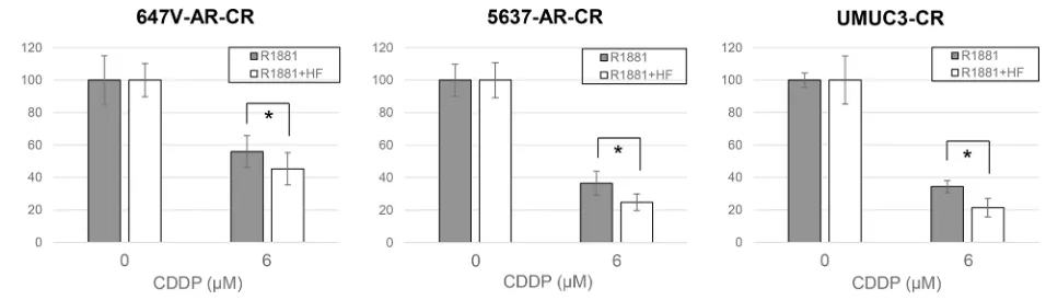 Figure 2: Establishment of CR sublines. MTT assay was performed in 647V-control/CR, 647V-AR-control/CR, 5637-AR-control/CR, and UMUC3-control/CR cells cultured in medium containing 10% FBS as well as different concentrations (0.2–50 µM) of CDDP for 72 h