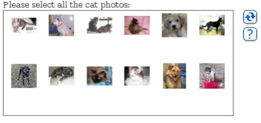 Figure 3.3: Example of an Asirra CAPTCHA