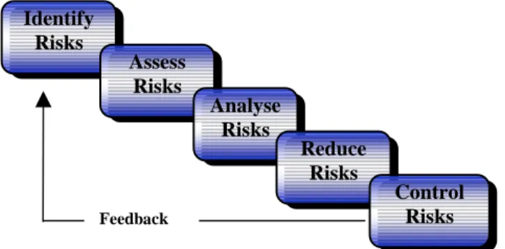 Figure 6: Risk Management Process