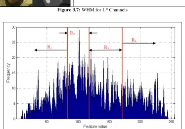 Figure 3.7: WHM for L* Channels 