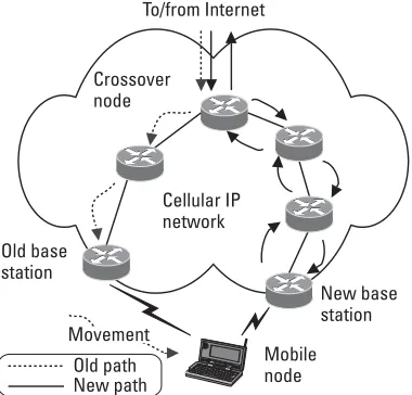 Figure 3.10 Handover in a Cellular IP network.