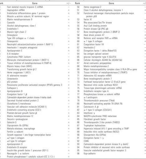 Table 2: The 96 genes that had a statistically significant (P < .05) differential expression between the aneurysm and the control artery