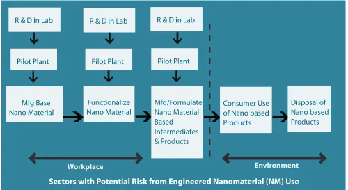 Figure 6.1. Nanomaterials (NM) sectors.