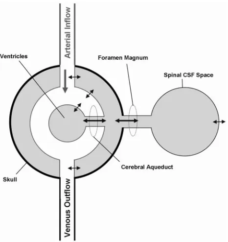 Fig 1. The simplified anatomic model on which the electrical equivalence model is based.Boundaries identified by thin lines are considered compliant.